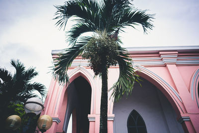 Low angle view of palm trees against building