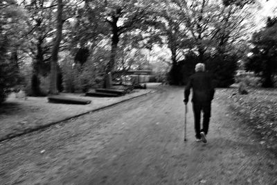 People walking on road