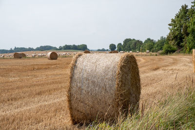 Hay bales on field against sky