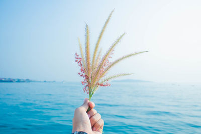 Cropped hand holding person holding plant by sea against clear sky