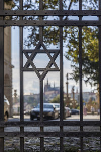 Trees seen through window