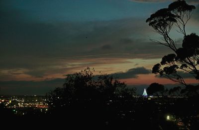 Silhouette trees by illuminated city against sky at sunset