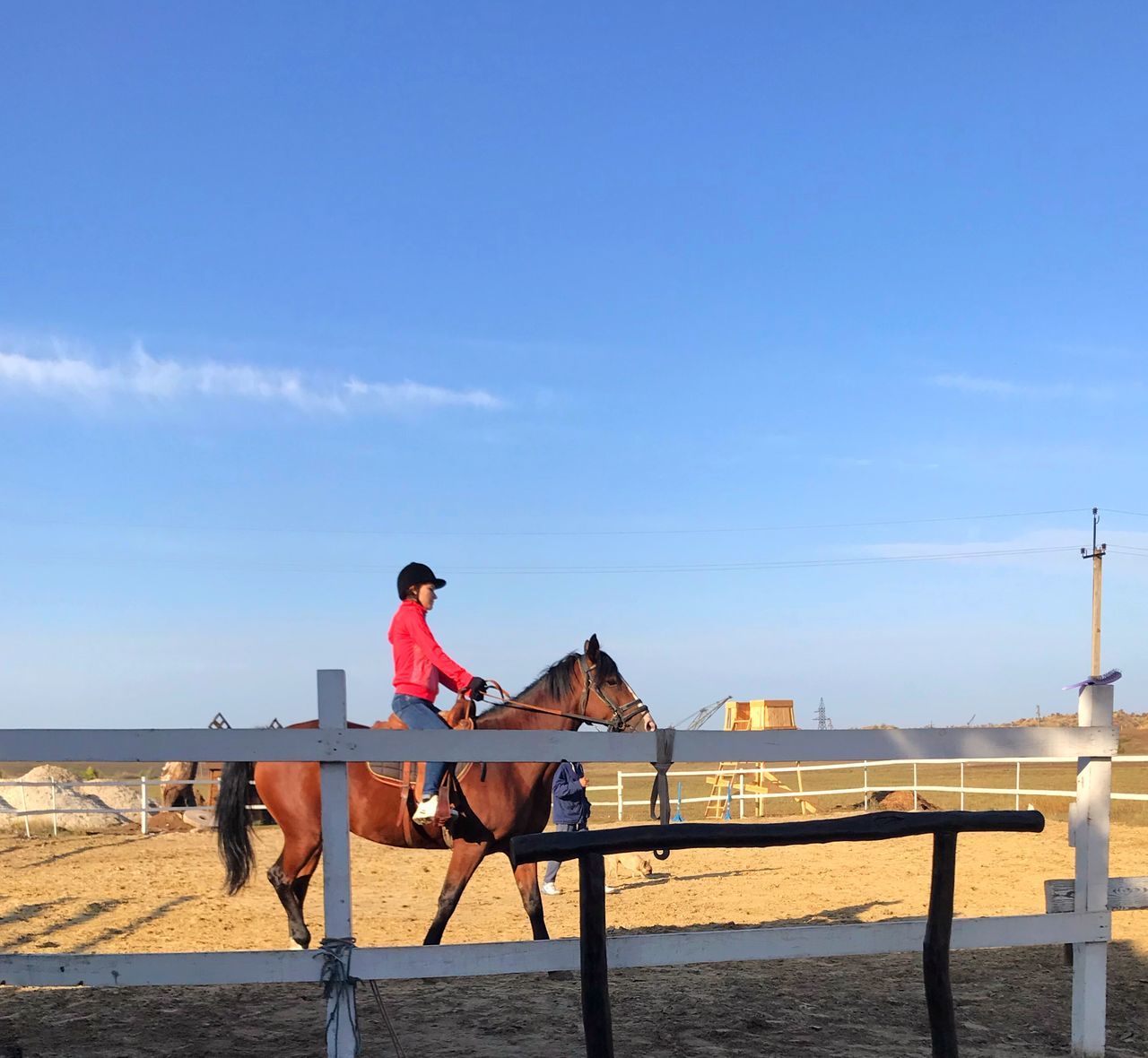 horse, sky, vacation, beach, nature, sea, water, one person, adult, land, full length, mammal, sitting, domestic animals, leisure activity, day, men, blue, animal, copy space, animal themes, sand, trip, architecture, holiday, lifestyles, outdoors, travel, women, pet, sunlight, rear view, boardwalk, walkway, activity, animal wildlife, beauty in nature, seat, person, travel destinations, young adult, riding, horseback riding, scenics - nature, casual clothing, horizon, sunny, clear sky, tranquility, cloud