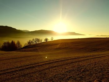 Scenic view of field against sky during sunset