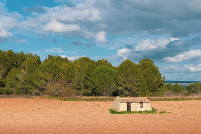 Trees on field against sky