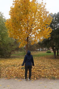 Rear view of woman with umbrella walking on autumn leaves