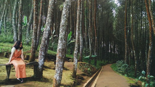 Full length of bamboo trees in forest