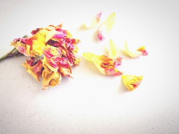 High angle view of yellow flowers on table