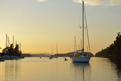 Sailboats moored in marina at sunset