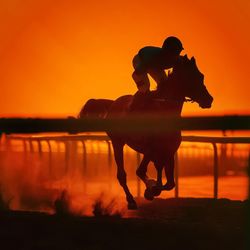 Silhouette man riding motorcycle on sea against orange sky