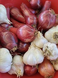 Close-up of onions and garlic