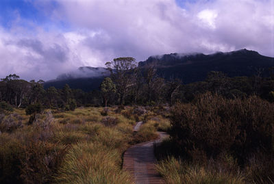 Scenic view of landscape against cloudy sky