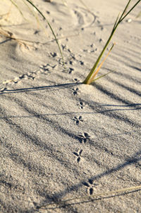 High angle view of shadow on sand