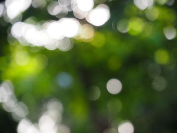 Defocused image of christmas lights