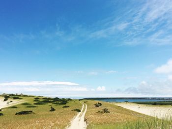 Trail amidst grassy field against sky