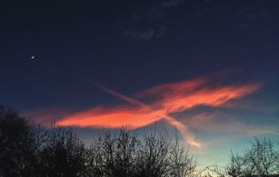 Low angle view of silhouette trees against sky at sunset