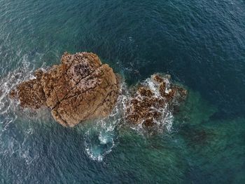 High angle view of rock in sea