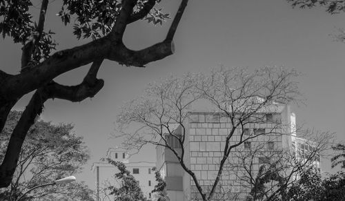 Low angle view of bare trees against sky