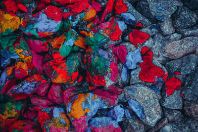 High angle view of multi colored leaves on rock