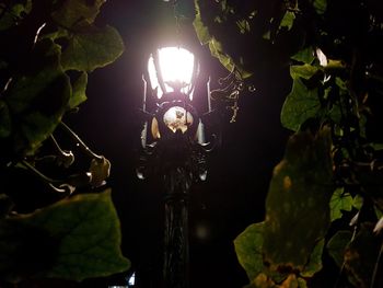 Low angle view of man standing by illuminated tree at night