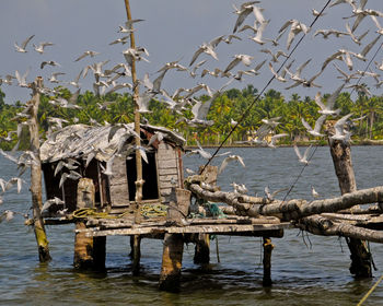 Scenic view of lake against sky