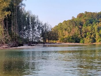Scenic view of lake in forest against clear sky