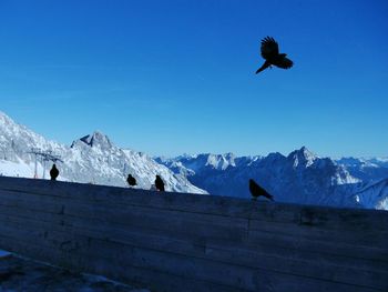Scenic view of snowcapped mountains against blue sky