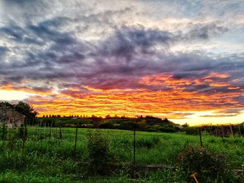 Scenic view of field against sky during sunset