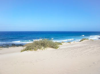 Scenic view of beach against clear blue sky