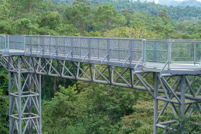 View of bridge in forest