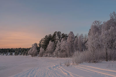 Snow covered land and trees against sky during winter