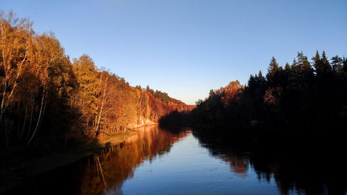 River amidst trees in forest against clear sky