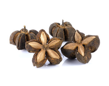 Close-up of food against white background