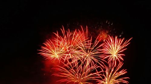 Low angle view of firework display