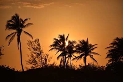 Silhouette of palm trees at sunset