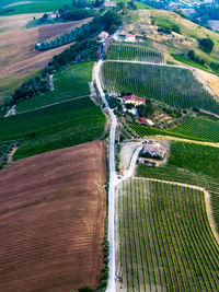 High angle view of agricultural landscape