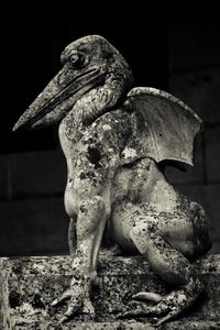 Close up of plant against blurred background