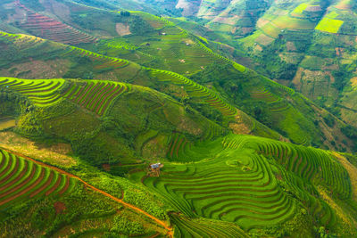 Full frame shot of terraced field