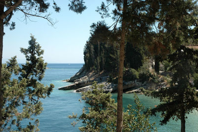 Scenic view of sea and trees against clear sky