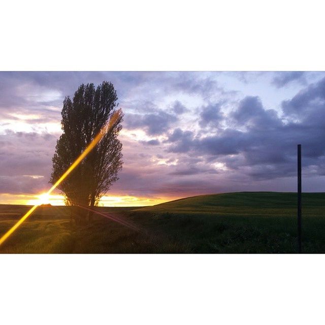 sky, tranquil scene, sunset, tranquility, scenics, landscape, beauty in nature, tree, cloud - sky, silhouette, nature, field, cloudy, cloud, idyllic, transfer print, dramatic sky, grass, non-urban scene, sun