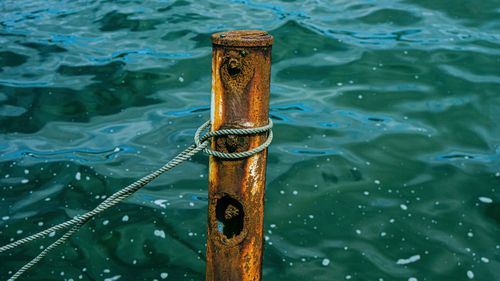 High angle view of wooden post in lake