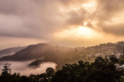 Scenic view of trees against sky during sunset