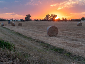 View of hay bales in the countryside during sunset in italy.