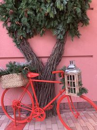 View of potted plant against building