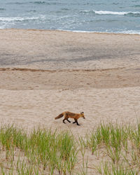 View of a beach