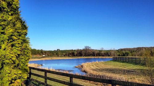 Scenic view of lake against clear blue sky