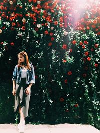 Full length of young woman standing by red roses blooming at park