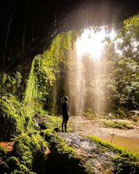 Man standing by trees in forest