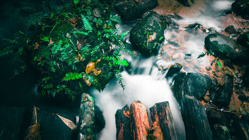 Panoramic view of waterfall in forest