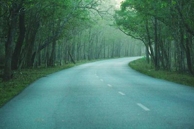 Road amidst trees in forest